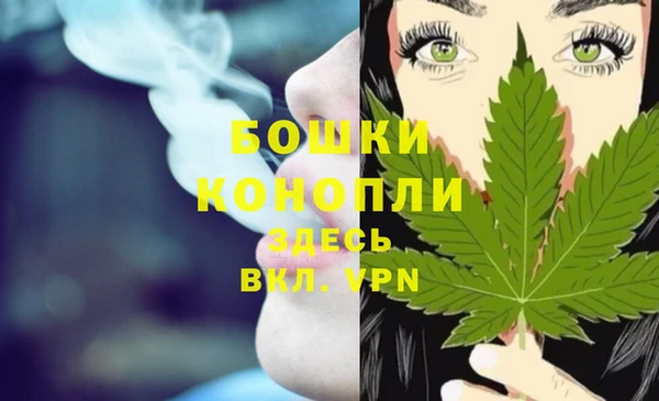 твердый Михайловск
