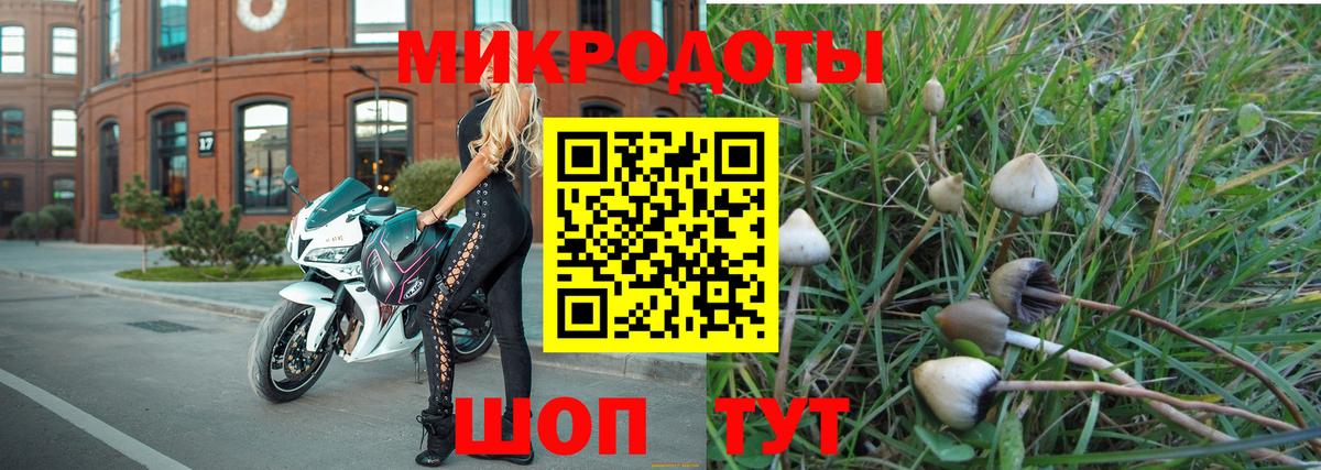 Тейково  Галлюциногенные грибы Psilocybe  Вход с VPN  Псилоцибиновые грибы мухоморы 